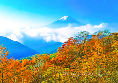 20031102-kamihikawa4518001